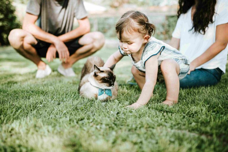 A happy cat with family