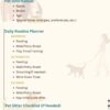 Dog Care and Routine Tracker